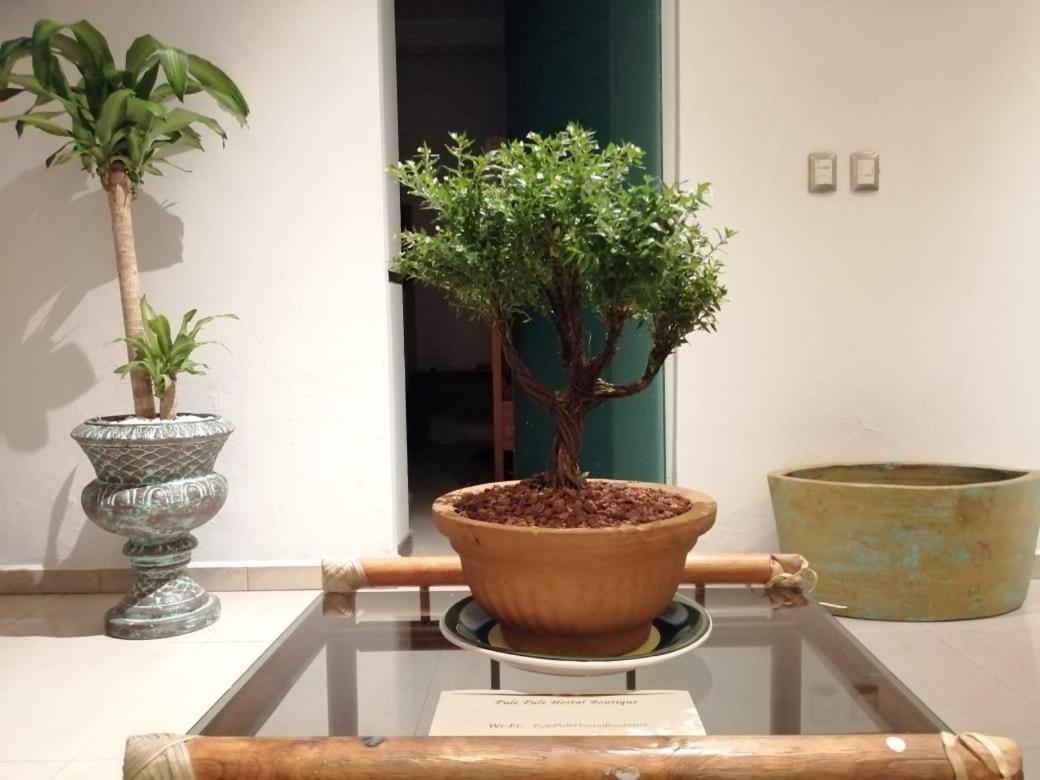 غوادالاجارا Pule Pule Hostal Boutique المظهر الخارجي الصورة